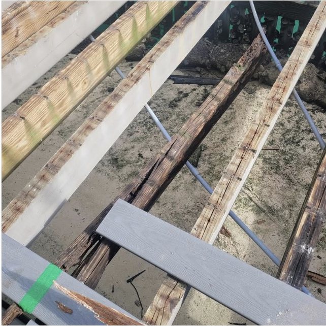 Original beams showing rot at the bearing points